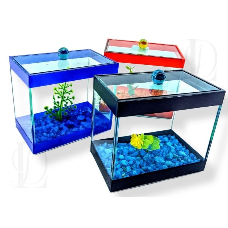 Aquário Tubular 15x9x13cm beteira 1,5 litros Retangular Decorada Peixes Betas ornamental decorativa