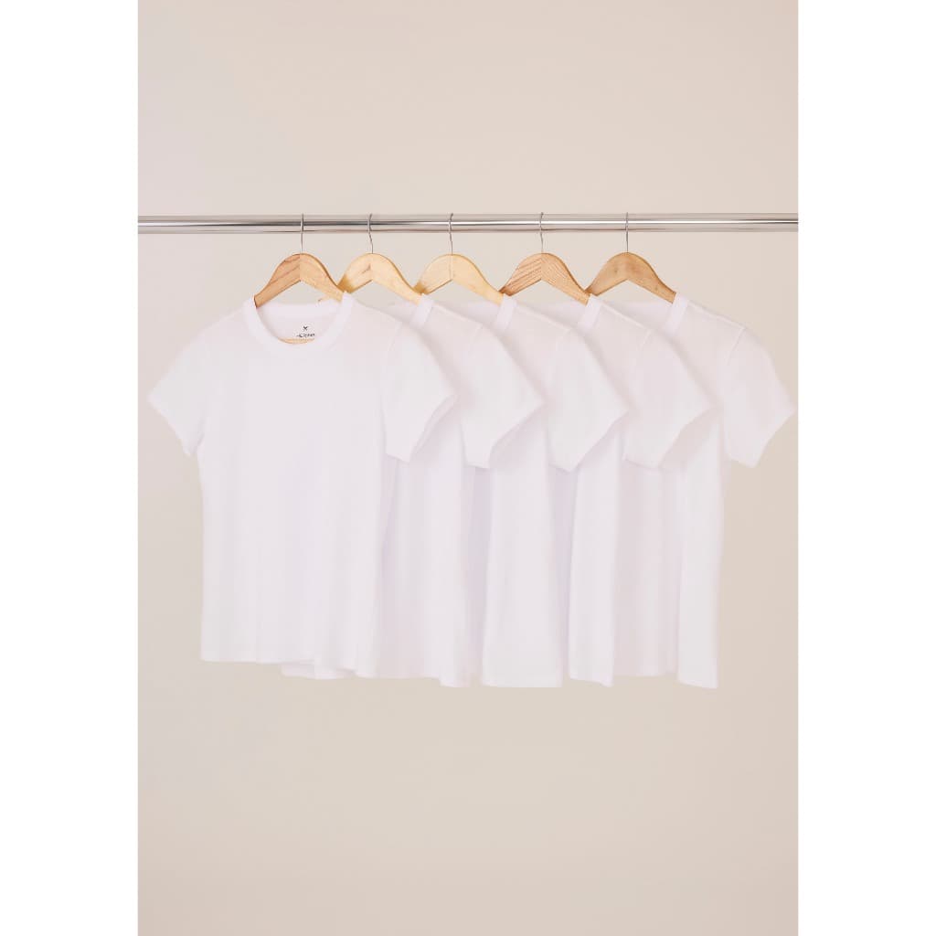 Kit Com 5 Camisetas Femininas Básicas Slim Hering