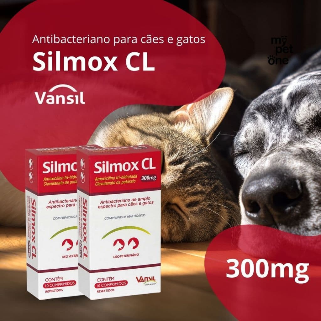 Kit 2 Antibacteriano Vansil Silmox CL para Cães e Gatos - 300 mg