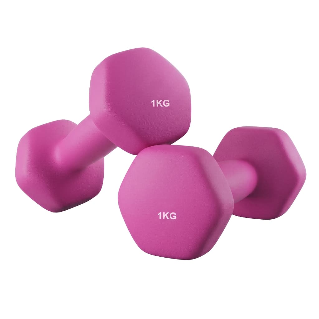 SONGMICS Par de Pesos Livres, Halteres Hexagonais com Revestimento em Neoprene, Exercícios em Casa, 2 x 1 kg, Rosa
