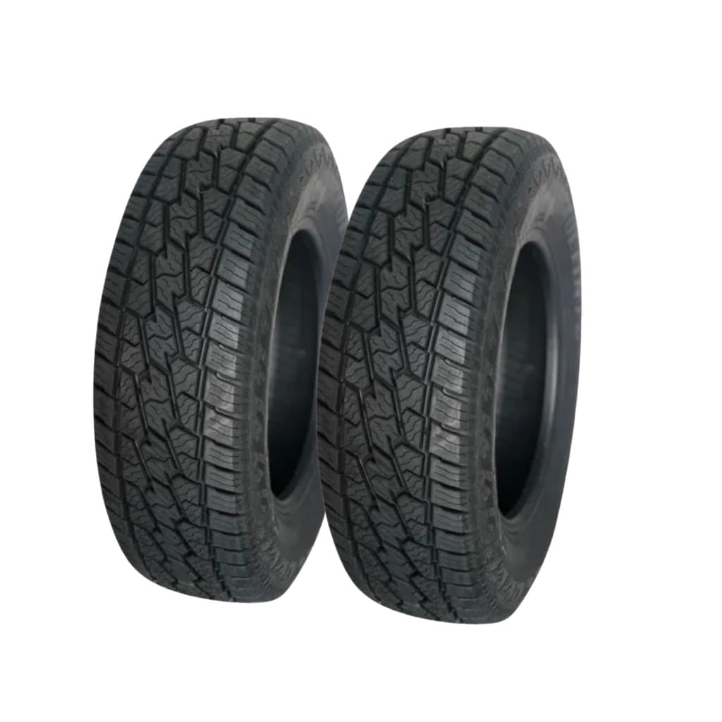 Kit 2 Pneus Delinte Aro 18 225/60 R18 104V DX-10 A/T BANDIT