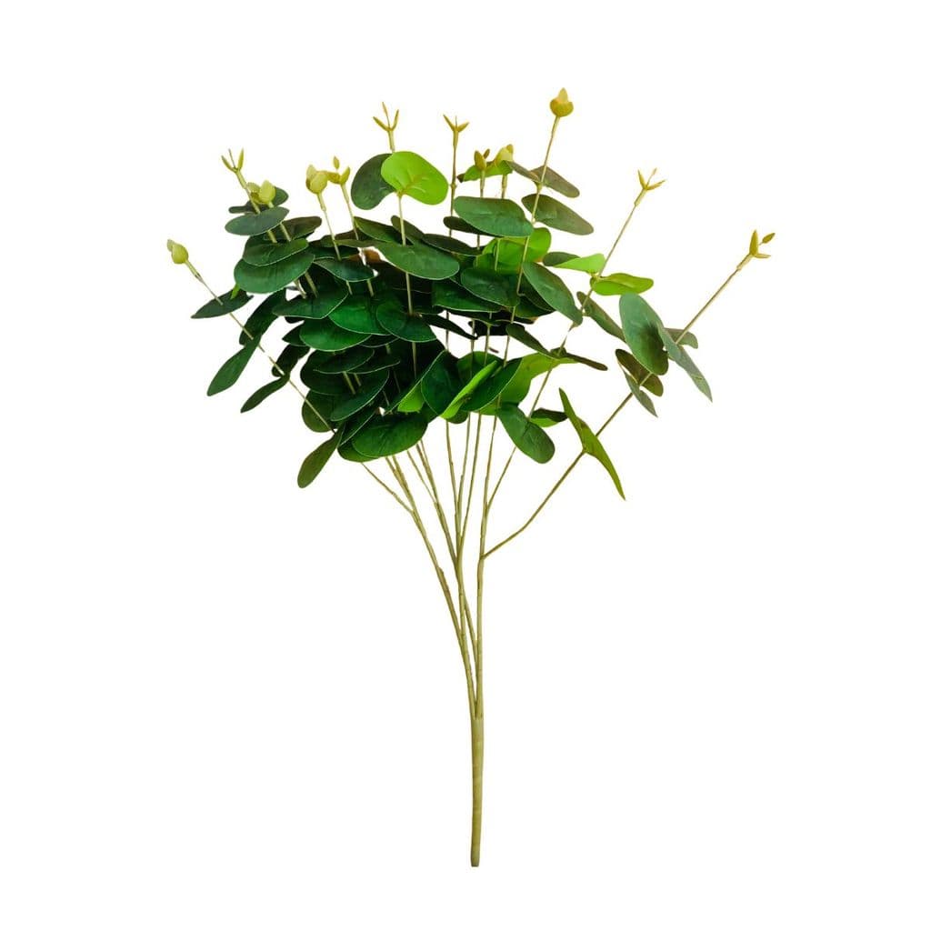 Galho Eucalipto Buquê Grande Arranjo Natural Para Presente Mesa Escritório Home Office