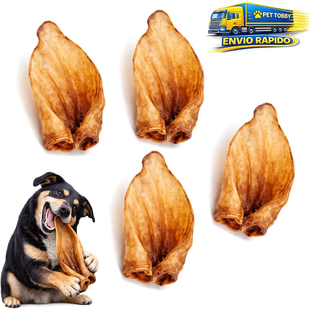 KIT 4Un Mordedor Orelha Bovina Para Cachorros 100% Natural Cães Petisco
